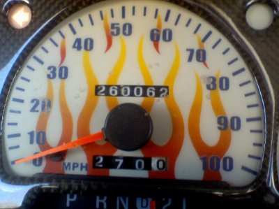 SPEEDO.jpg