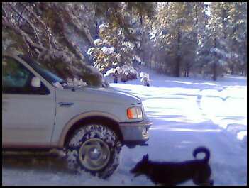 snow2.jpg