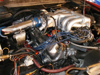 P9040013 (Small).JPG