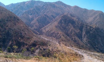 IMAG0073.jpg