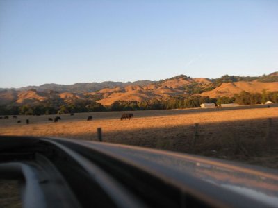 09-25-10 020half.jpg