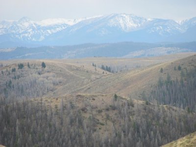 IMG_1426.jpg