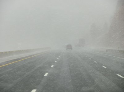 IMG_1536.jpg