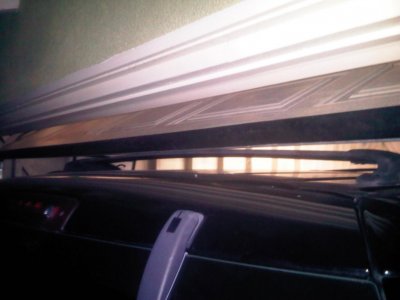 IMG00199-20101105-1826.jpg