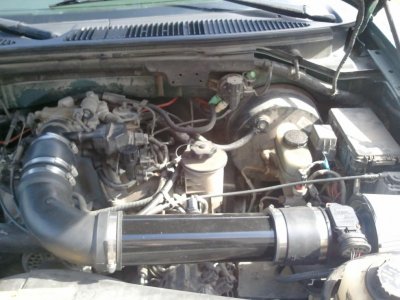 2011-02-22 12.59.42.jpg