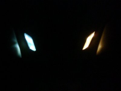 IMG00028-20110307-2203.jpg
