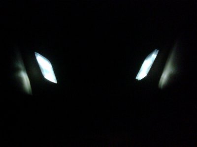 IMG00032-20110307-2205.jpg