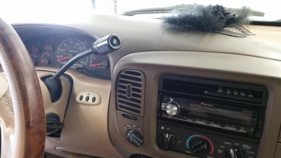 20160619_113559.jpg