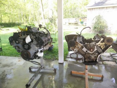 Side by Side.jpg