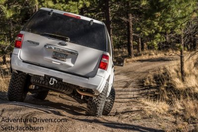 Aspen flexing down hill-1-2.jpg
