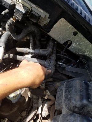 20170126_121927.jpg