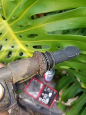 20170126_103047.jpg