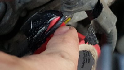 20170204_171206.jpg