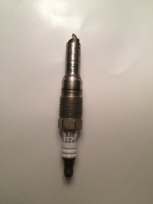 image.jpeg