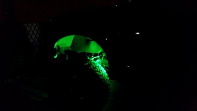 20170610_014722.jpg