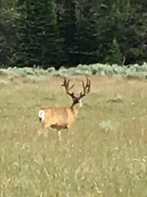 IMG_4567.JPG