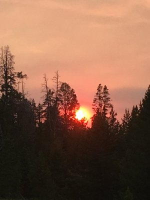 IMG_4367.JPG