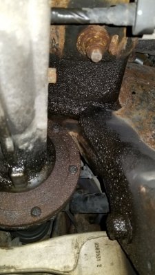 20170812_175541.jpg