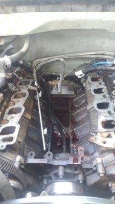 20170909_144516.jpg