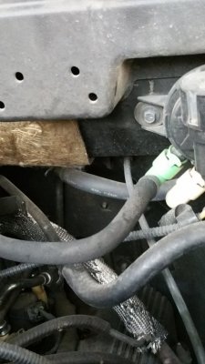 20170913_072323.jpg