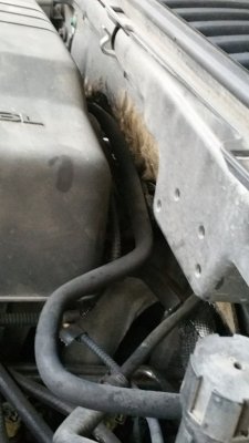 20170913_072329.jpg