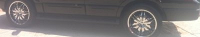 crop.jpg