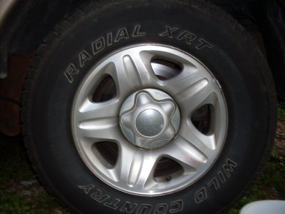 SDC12426.jpg