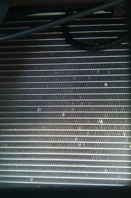 IMAG0026.jpg