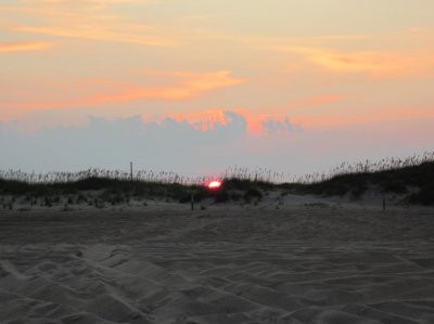 IMG_0350.jpg
