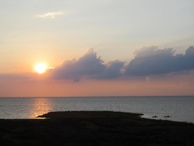 IMG_0261.jpg