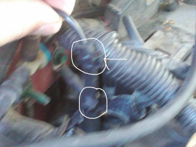 Check Valve 3.jpg
