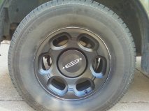 gatorwheels.jpg