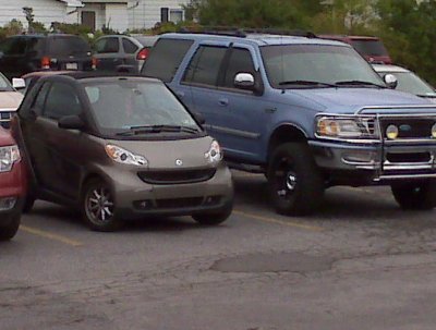 IMG00337.jpg
