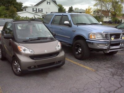 IMG00338.jpg