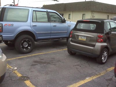 IMG00339.jpg