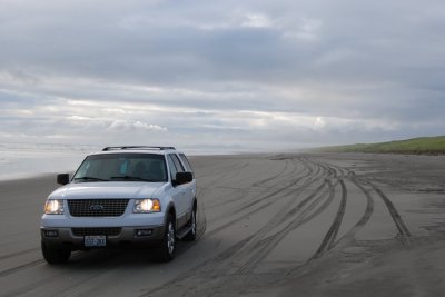 DSC_7305.JPG
