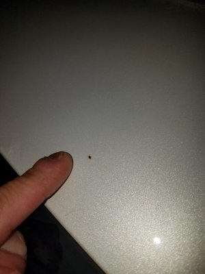 20171204_214240.jpg 20171204_214240.jpg