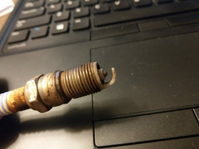 IMAG0104.jpg