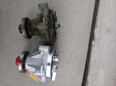 IMAG0255.jpg