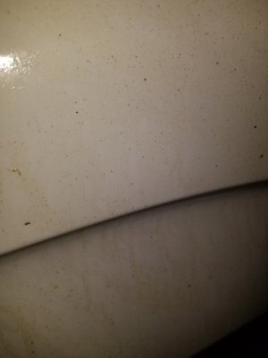 20180226_191141.jpg