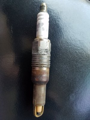20180313_141056.jpg