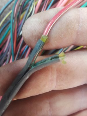 20180322_160301.jpg