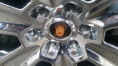20180403_173419.jpg