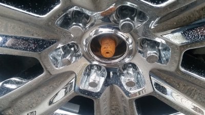 20180403_173413.jpg
