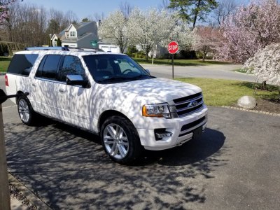 20180414_150223.jpg