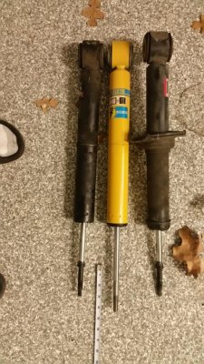 frontshock.jpg
