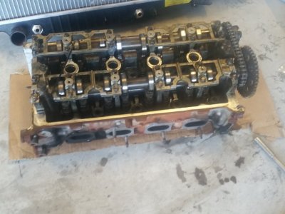 20180428_152133.jpg