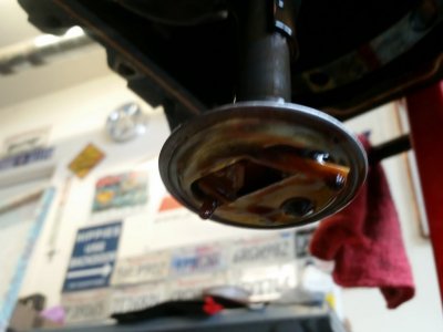 20180430_171958.jpg