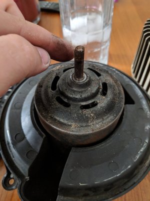 IMG_20180503_100234.jpg