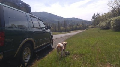 20180424_115216.jpg